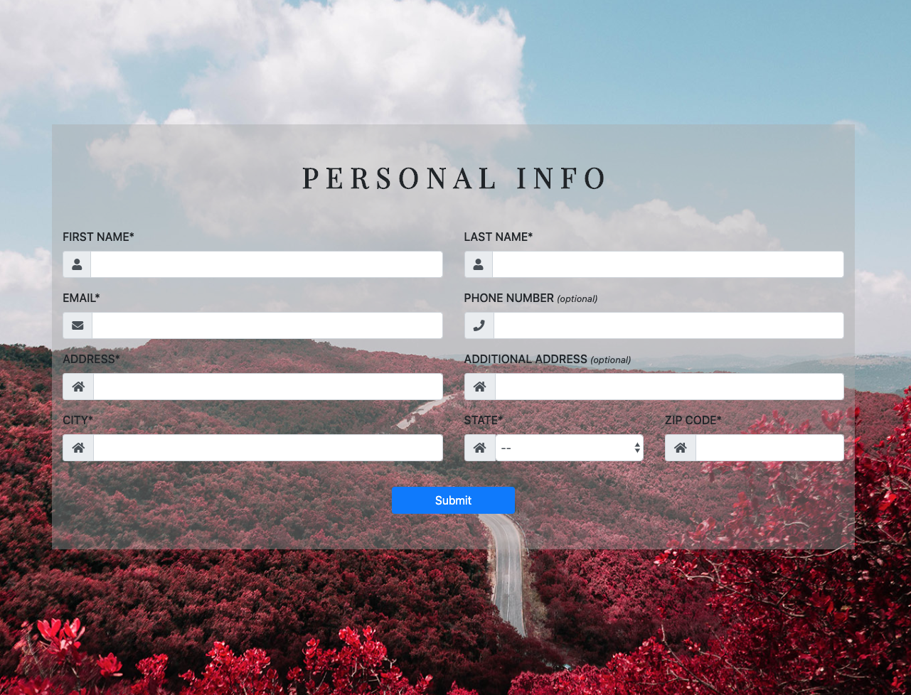 web form project screenshot